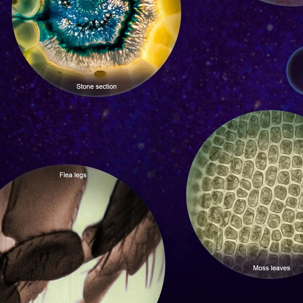 Look & Learn™ Mini Microscope Item i Need