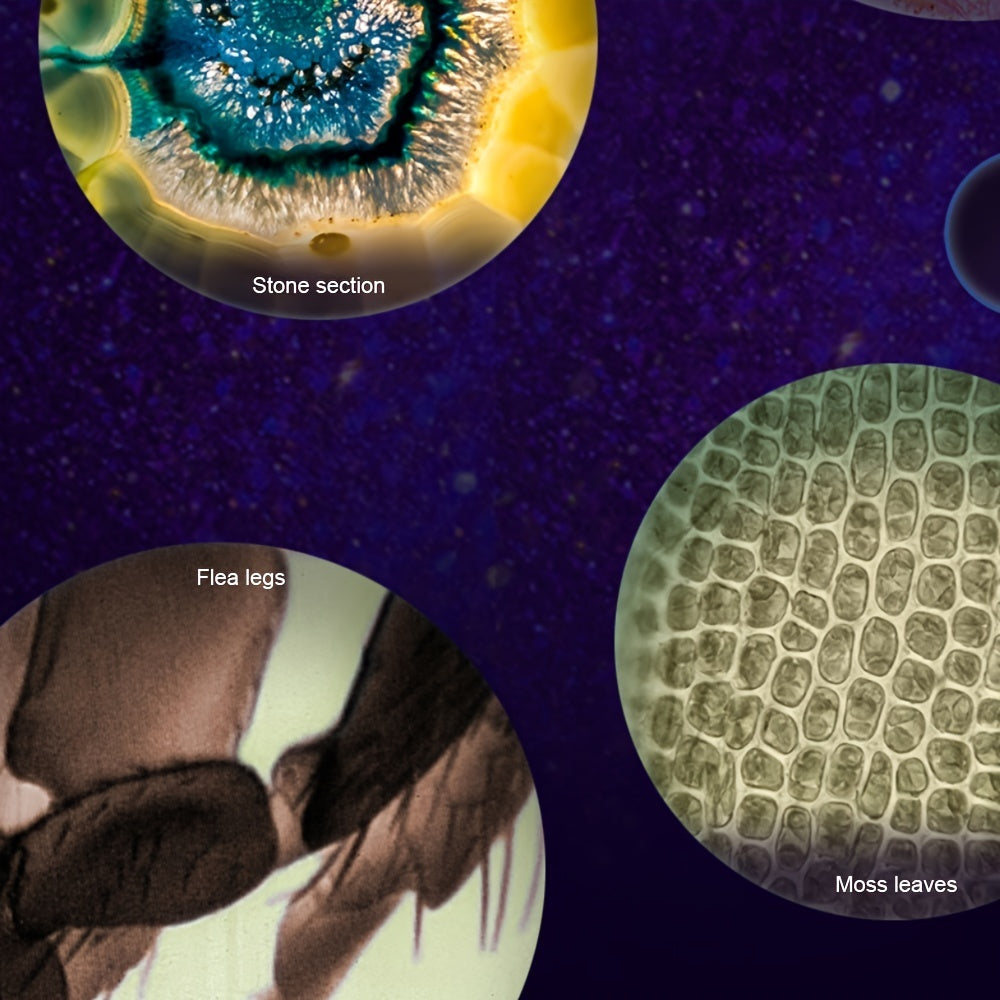 Look & Learn™ Mini Microscope Item i Need