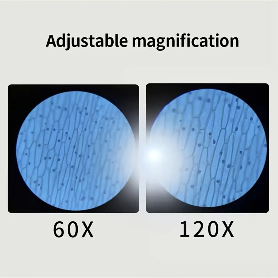 Look & Learn™ Mini Microscope Item i Need