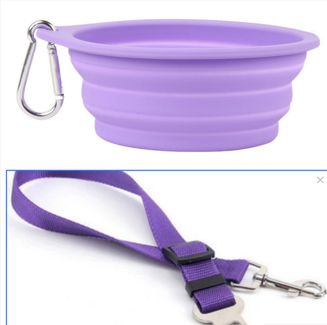 Free Gift Set - Safety Belt + Travel Bowl