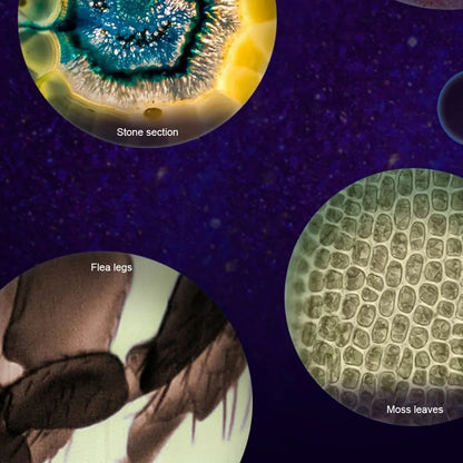 Look & Learn™ Mini Microscope Item i Need